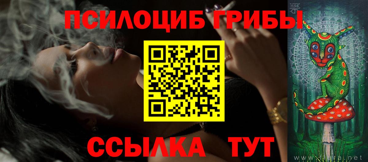 Псилоцибиновые грибы GOLDEN TEACHER Богданович