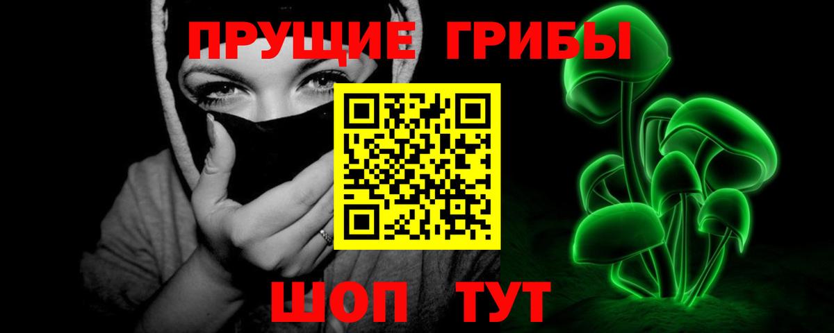 Богданович  Псилоцибиновые грибы прущие грибы  Галлюциногенные грибы MAGIC MUSHROOMS  Вход с VPN 